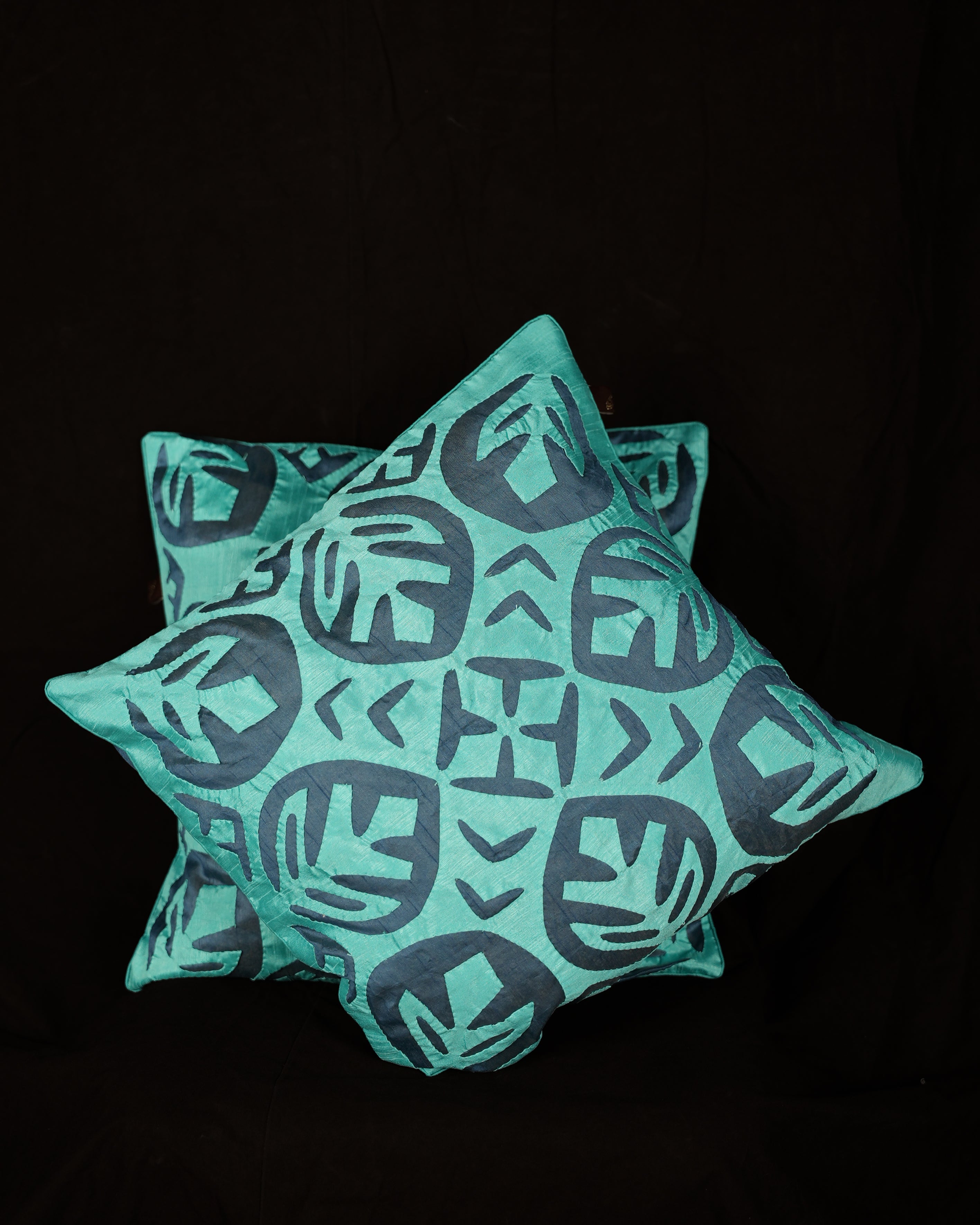 Applique Cushion Cover (Pair)